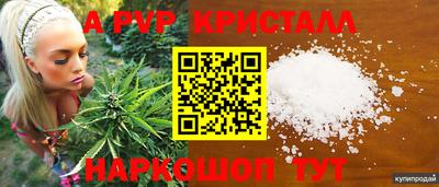 ECSTASY Рязань