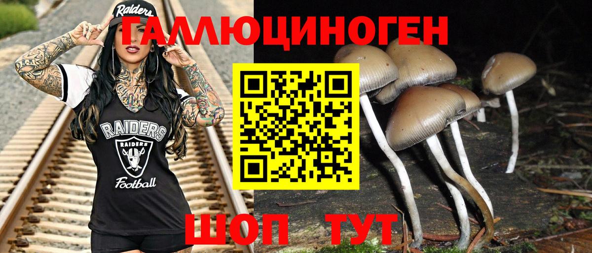 Галлюциногенные грибы Psilocybine cubensis Реж