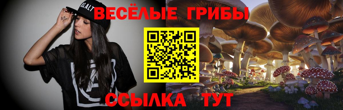 Галлюциногенные грибы MAGIC MUSHROOMS  Вход с VPN  Реж 